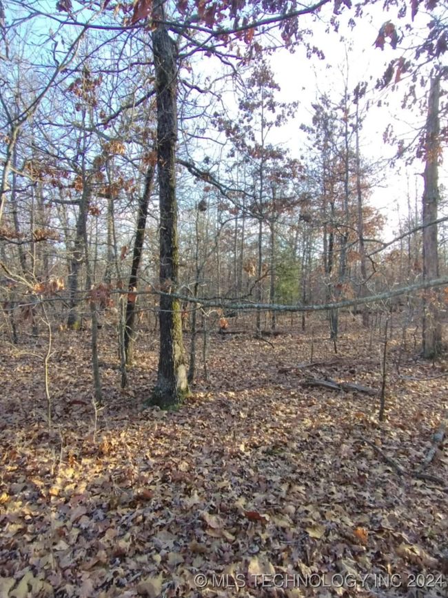 464776 Indian Rd, Home with 0 bedrooms, 0 bathrooms and null parking in Proctor OK | Image 6