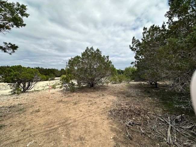 Back right of lot looking toward unpaved road | Image 8