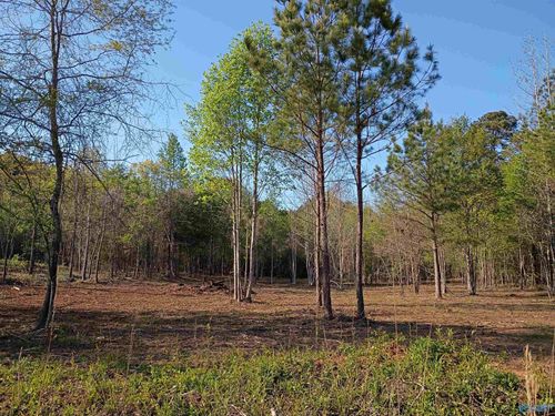 Tract 1 County Road 176, Piedmont, AL, 36272 | Card Image