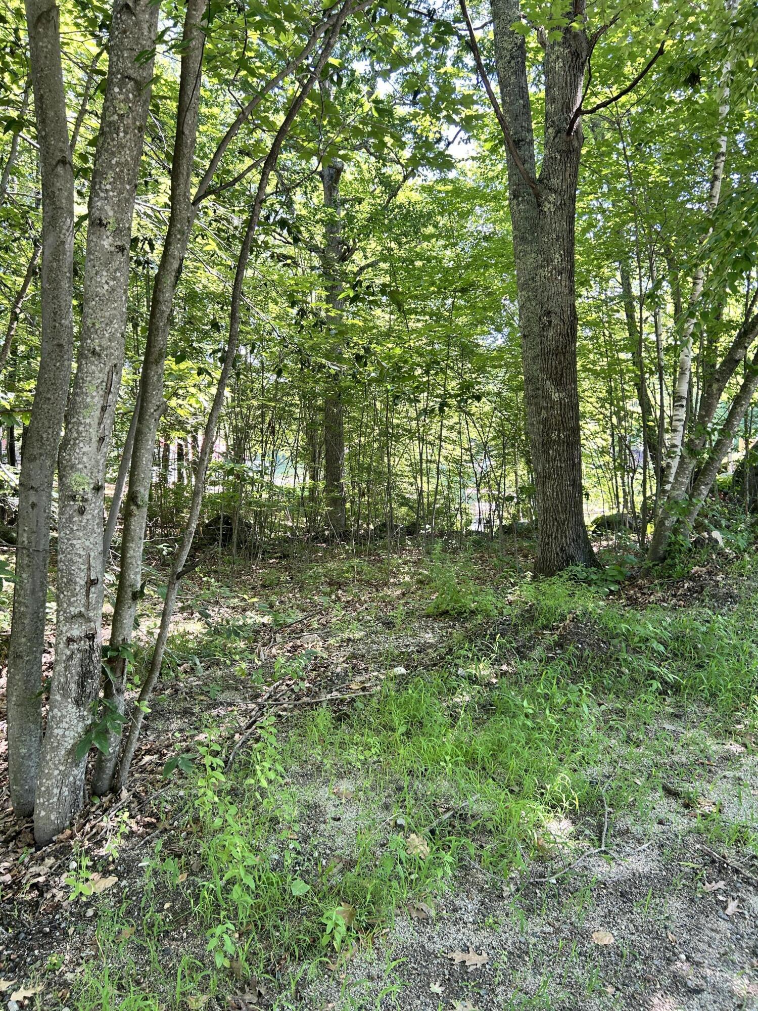 Land in Lyman 2