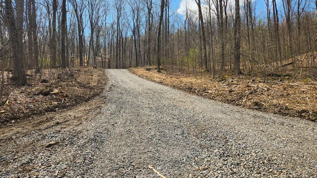 TRACT-2-PIKE-LAKE-GETAWA - 0 Pike Lake Rd, Home with 0 bedrooms, 0 bathrooms and null parking in Bainbridge OH | Image 6