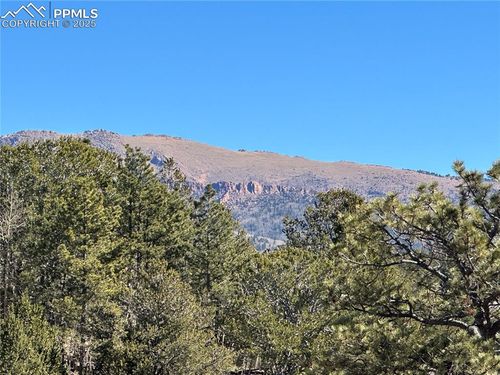 1196 Wellington Dr, Cripple Creek, CO, 80813 | Card Image