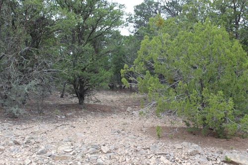 5 Manzano Loop, Tijeras, NM, 87059 | Card Image