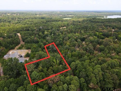 Lot 1 Fm 2658 N, Tatum, TX, 75691 | Card Image