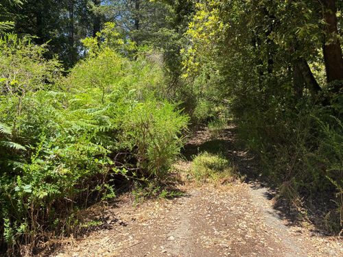 30 Sunrise Mountain Rd, Cazadero, CA, 95421-9682 | Card Image