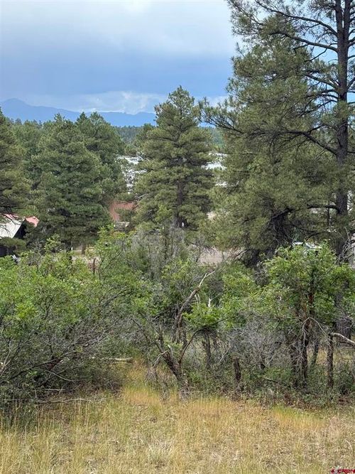 821 Aspenglow Blvd, Pagosa Springs, CO, 81147-9159 | Card Image