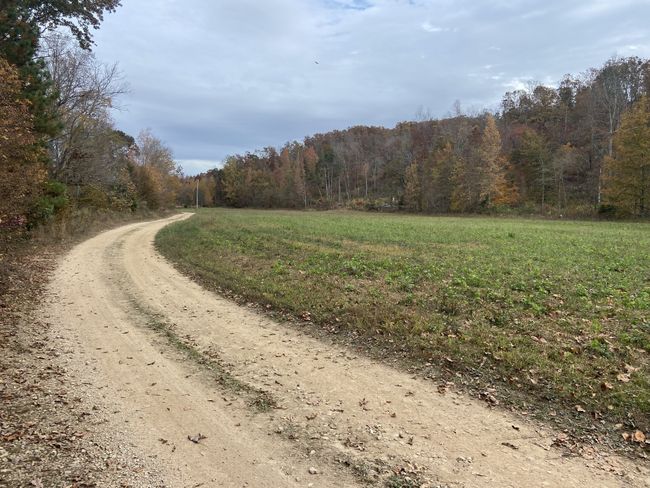 0 Mc Cord Hollow Rd, Home with 0 bedrooms, 0 bathrooms and null parking in Hohenwald TN | Image 11