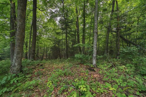 TBD Garden Ln Lane, McGregor, MN, 55760 | Card Image