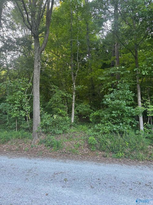 Lot 71 Goldenrod Way, Athens, AL, 35614 | Card Image