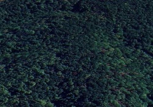 5 Rippy Ridge Rd, Normandy, TN, 37360 | Card Image