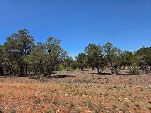 2292 Aero Mech Drive, Overgaard, AZ, 85933 | Card Image