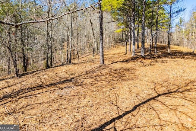 0 County Road 269, Home with 0 bedrooms, 0 bathrooms and null parking in Wedowee AL | Image 5