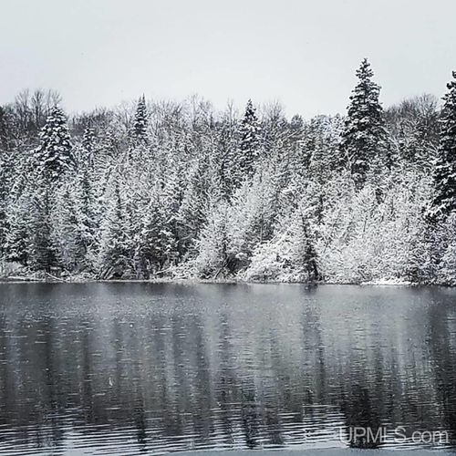 no-legal-insurable-road-a-TBD Off Laurel Lake Trail, Newberry, MI, 49868 | Card Image