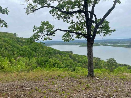 0 Diamond Bluff Rd, Quitman, AR, 72131 | Card Image