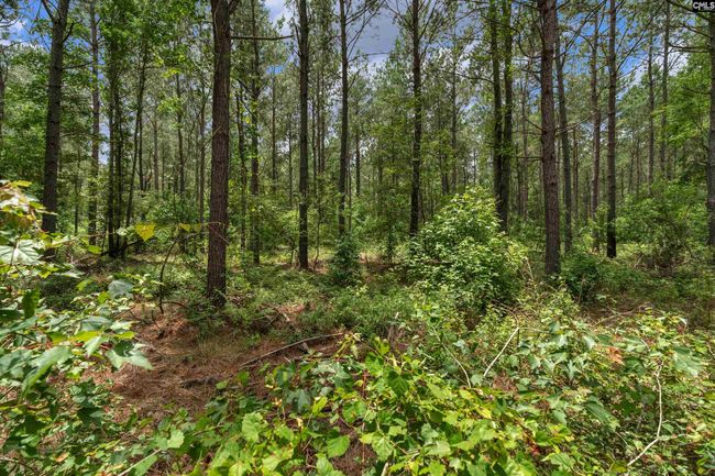 0000 N Brewington Rd, Home with 0 bedrooms, 0 bathrooms and null parking in Manning SC | Image 58