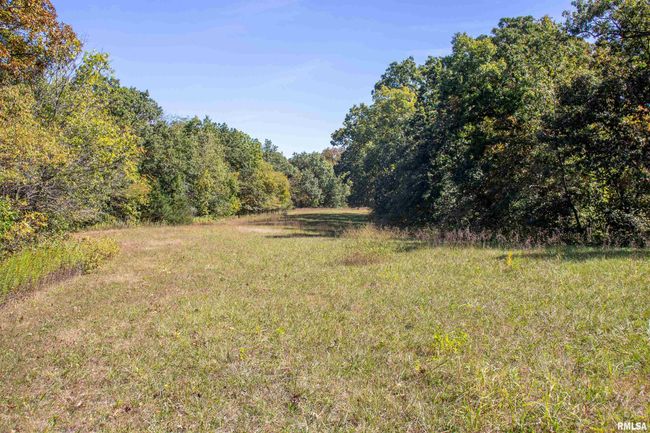 27232 215 Th St, Home with 5 bedrooms, 4 bathrooms and null parking in Canton MO | Image 22