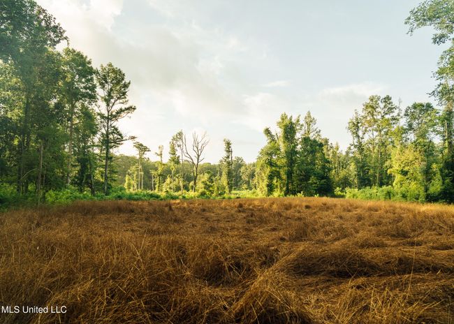 BS 500 Greene County Pics-69 | Image 26