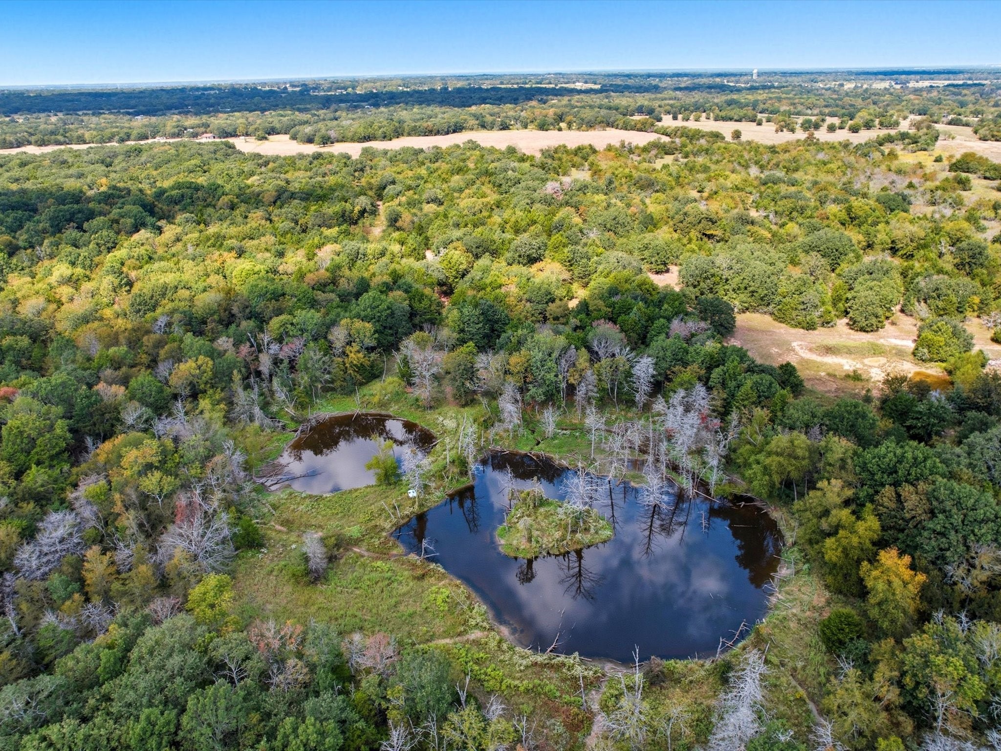 Land in Terrell 2