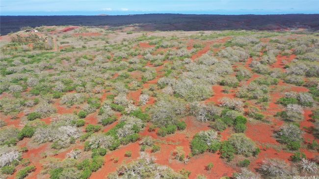 LOT-38 - 000 Kalua Koi Rd, Home with 0 bedrooms, 0 bathrooms and null parking in Maunaloa HI | Image 10