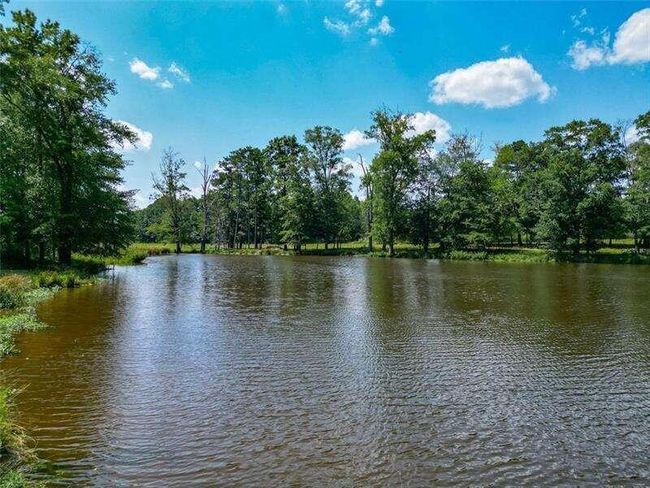 204 George Rd Sw, Home with 0 bedrooms, 0 bathrooms and null parking in Cave Spring GA | Image 31