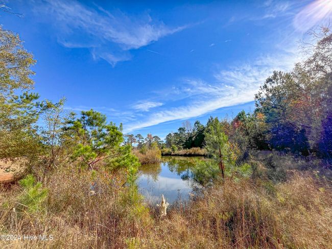 4780 S Us 117 Hwy, Home with 0 bedrooms, 0 bathrooms and null parking in Teachey NC | Image 20