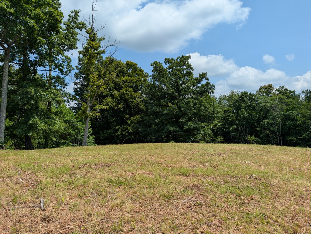 Land in Burkesville 2