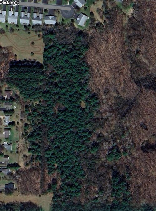 TBD Folsom St, Taylors Falls, MN, 55084 | Card Image