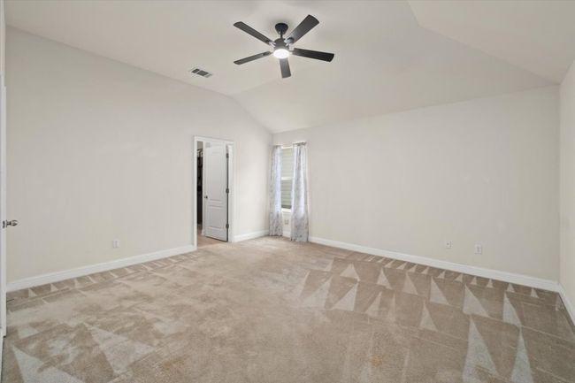 Primary | Image 18