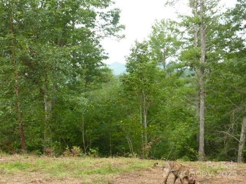 240 Thunderhead Dr, Marshall, NC, 28753 | Card Image