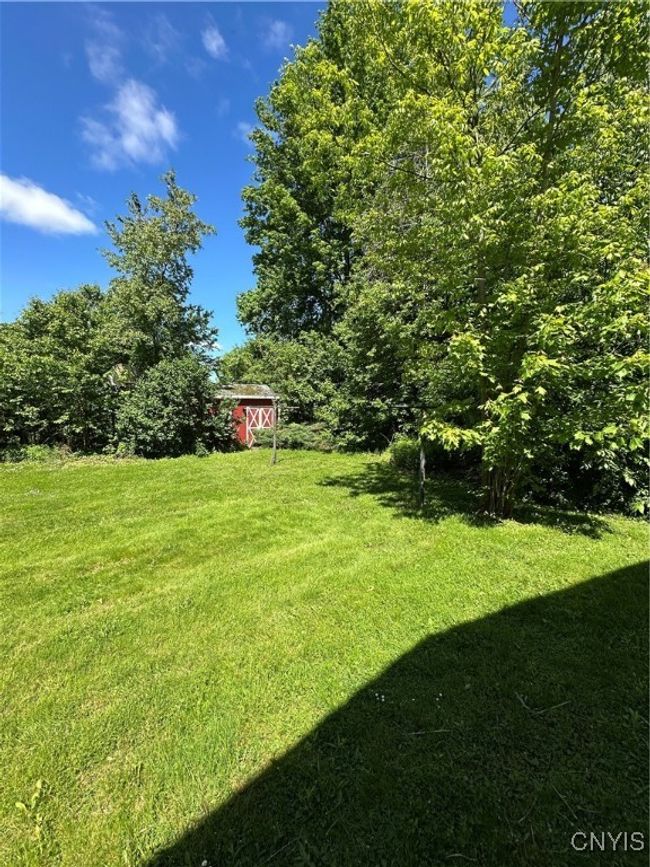 Huge Backyard!!! | Image 15
