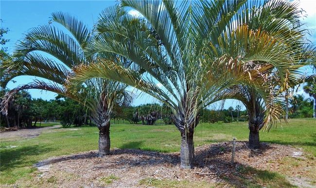 326 Useppa, Home with 0 bedrooms, 0 bathrooms and null parking in Useppa Island FL | Image 14