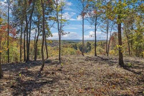 Tract 11 Off Of Sheep Ranch Road, Robbins, TN, 37852 | Card Image