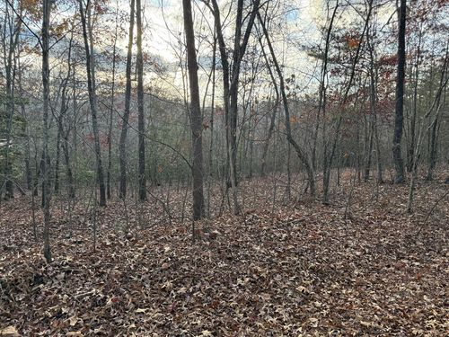 28/32 Stuart Ridge Road, Mineral Bluff, GA, 30559 | Card Image