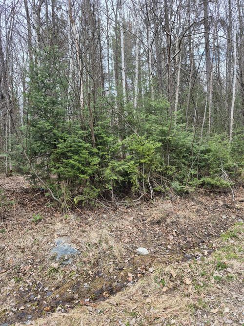 Lot 5 Arbutus Trail, Mattawa, ON, P0H | Card Image