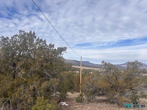 195-227 Tee Pee Trl, Datil, NM, 87821-2052 | Card Image