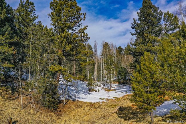 1230 May Queen Dr, Home with 0 bedrooms, 0 bathrooms and null parking in Cripple Creek CO | Image 20