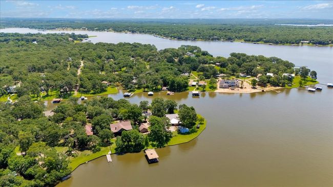 Aerial view of a nearby body of water and a forest | Image 6