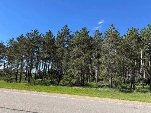 TBD County 48, Park Rapids, MN, 56470 | Card Image