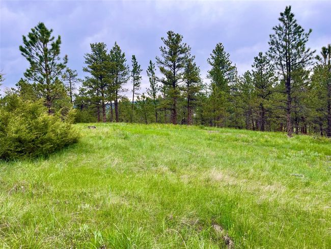 69 Colter Trl, Home with 0 bedrooms, 0 bathrooms and null parking in Columbus MT | Image 11