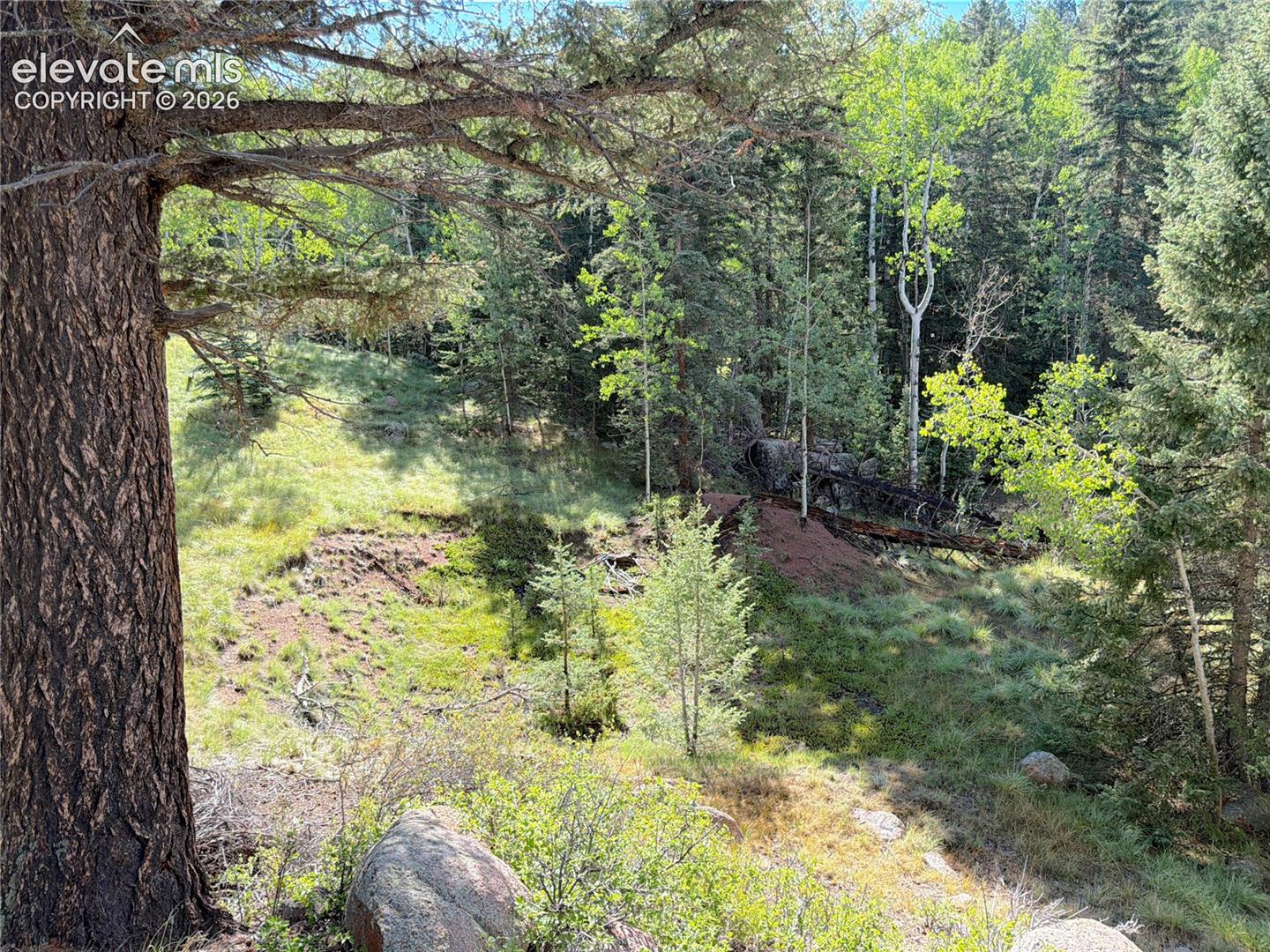 Land in Florissant
