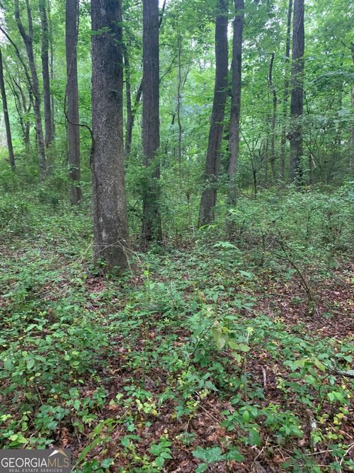 b-7700 Poole Cir, Alto, GA, 30510-2212 | Card Image