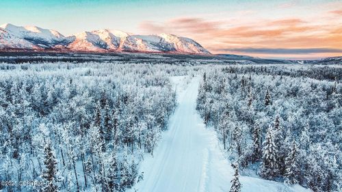 Mile 73.5 Richardson Highway, Chitina, AK, 99566 | Card Image