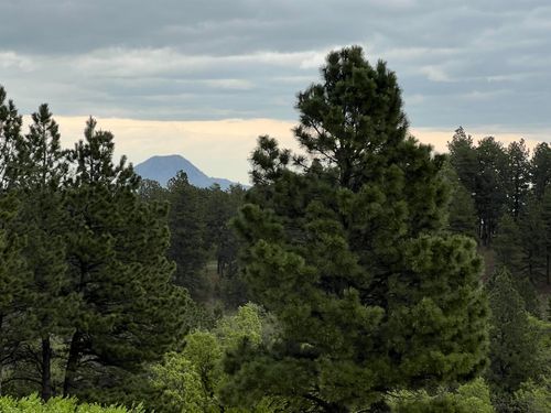 Lot 20 Summit Pass, Whitewood, SD, 57793 | Card Image