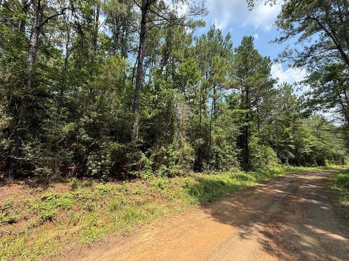 PART 1 TR 76 County Road 441, Kirbyville, TX, 75956 | Card Image
