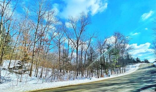 574 Sleepy Hollow Rd, Athens, NY, 12015-3022 | Card Image