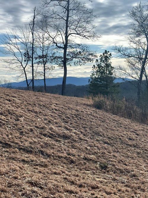 Lot 95 Fallen Leaf Rd, Mineral Bluff, GA, 30559-4500 | Card Image