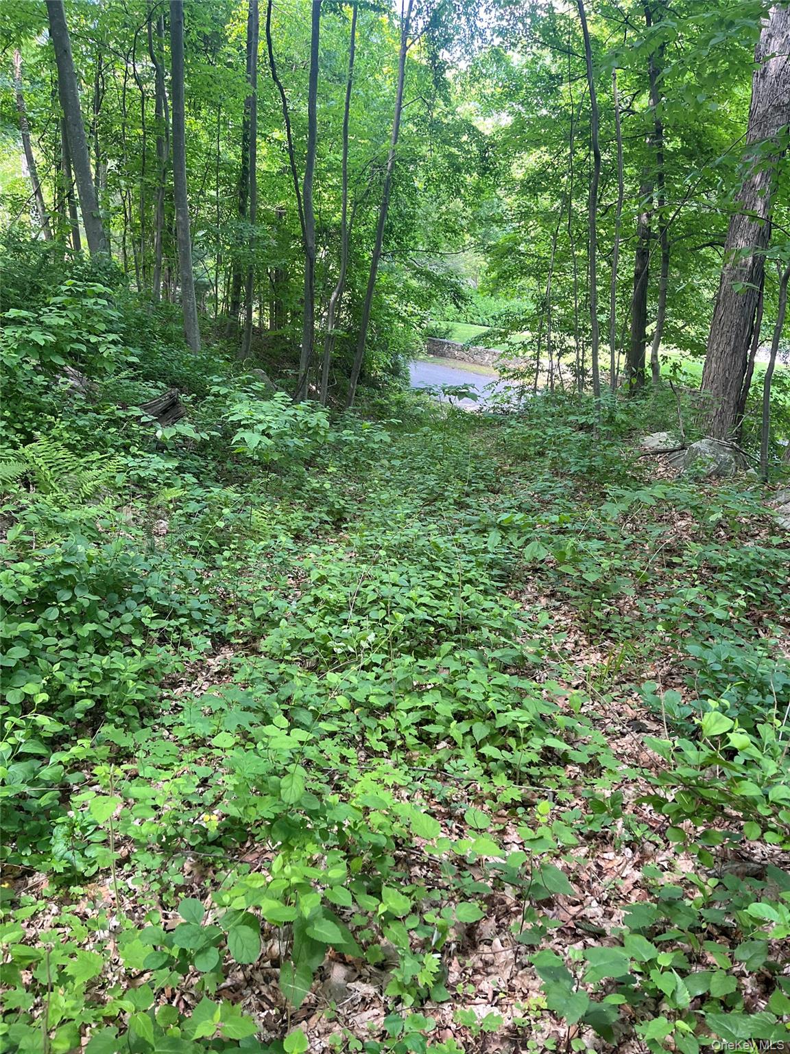Land in Putnam Valley 2