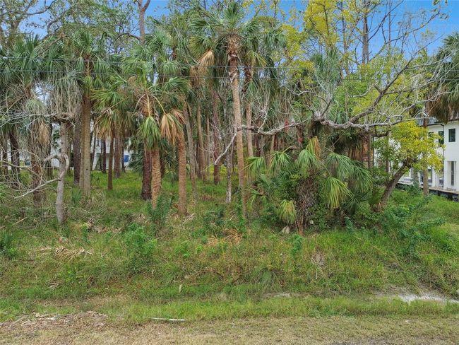 00 Phoenix Ave, Home with 0 bedrooms, 0 bathrooms and null parking in OLDSMAR FL | Image 21