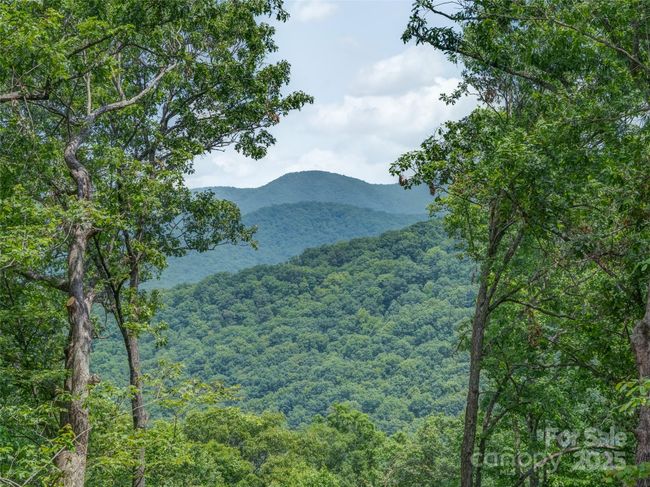 000 White Rock Branch Rd, Home with 0 bedrooms, 0 bathrooms and null parking in Candler NC | Image 14