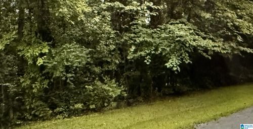 lot-31-LOT 31 Canal St, Childersburg, AL, 35044-1309 | Card Image